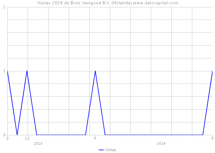 Visitas 2024 de Boes Vastgoed B.V. (Holanda) 