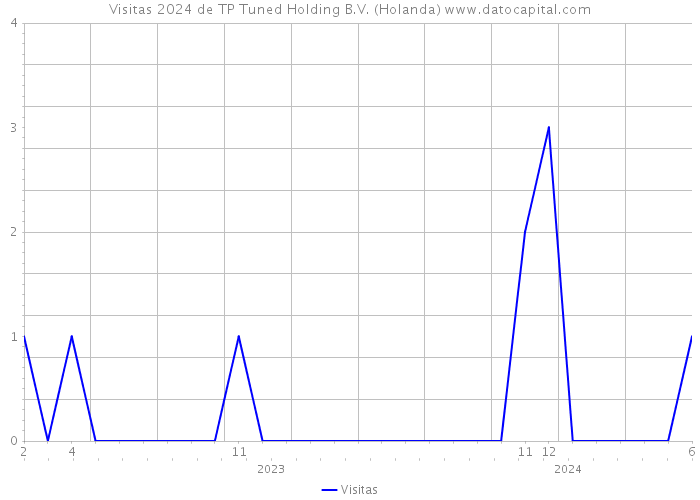 Visitas 2024 de TP Tuned Holding B.V. (Holanda) 