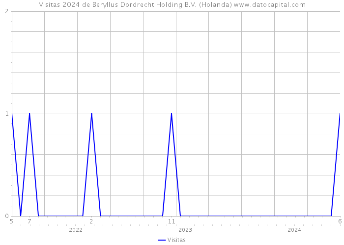 Visitas 2024 de Beryllus Dordrecht Holding B.V. (Holanda) 