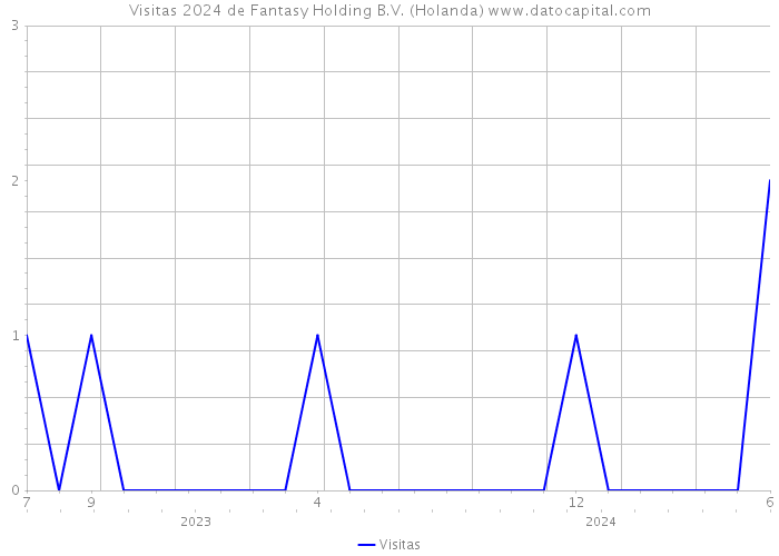 Visitas 2024 de Fantasy Holding B.V. (Holanda) 