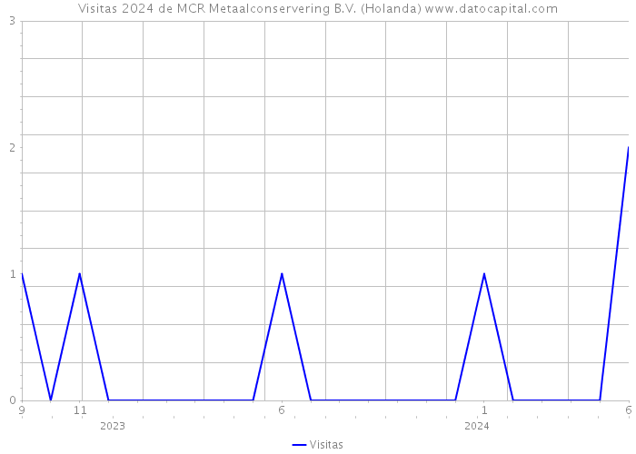 Visitas 2024 de MCR Metaalconservering B.V. (Holanda) 