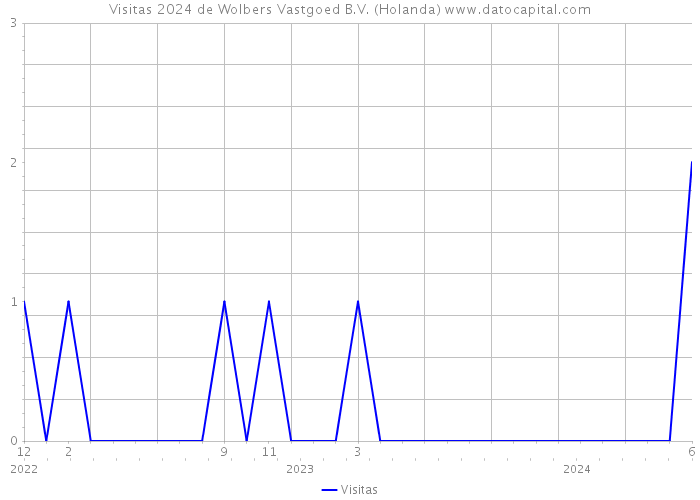 Visitas 2024 de Wolbers Vastgoed B.V. (Holanda) 