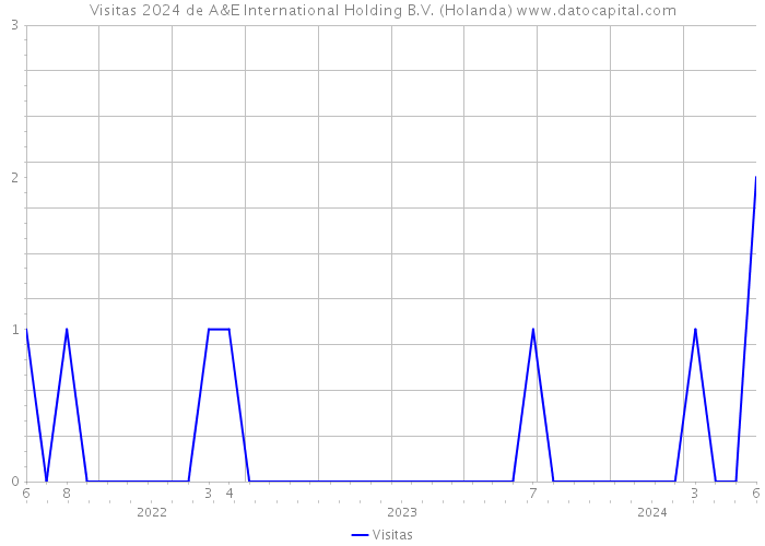 Visitas 2024 de A&E International Holding B.V. (Holanda) 