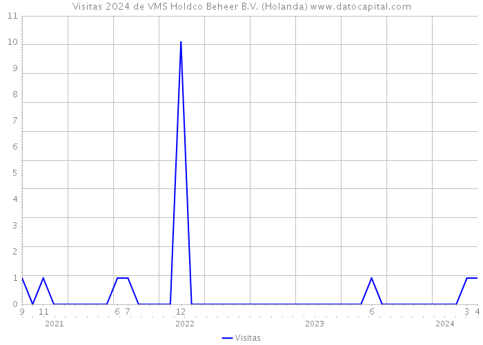 Visitas 2024 de VMS Holdco Beheer B.V. (Holanda) 