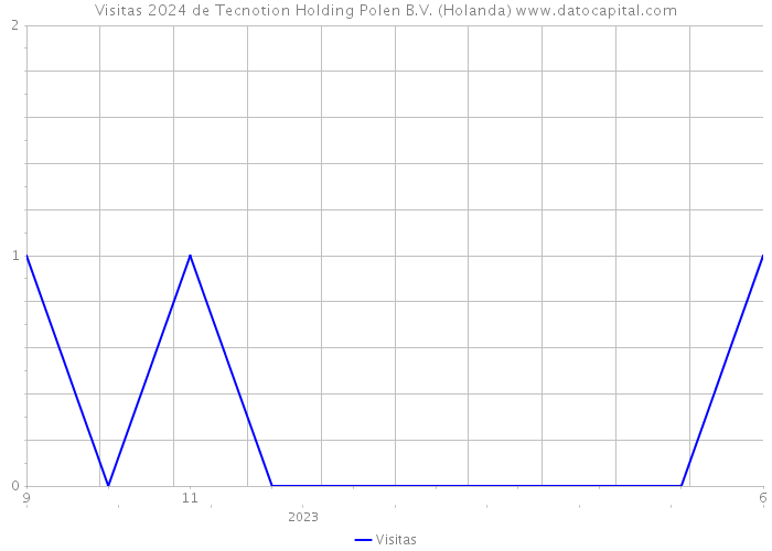 Visitas 2024 de Tecnotion Holding Polen B.V. (Holanda) 