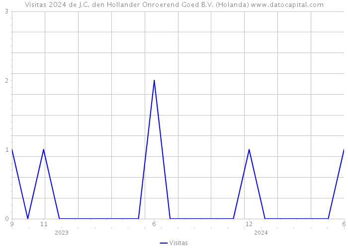 Visitas 2024 de J.C. den Hollander Onroerend Goed B.V. (Holanda) 