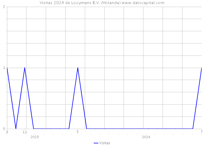 Visitas 2024 de Looymans B.V. (Holanda) 