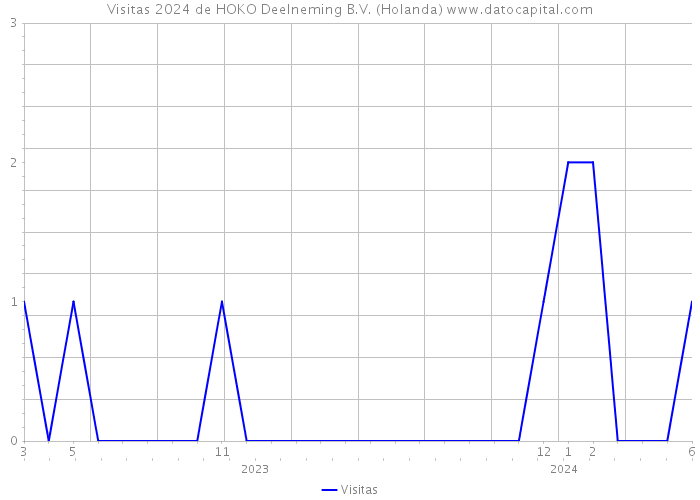 Visitas 2024 de HOKO Deelneming B.V. (Holanda) 