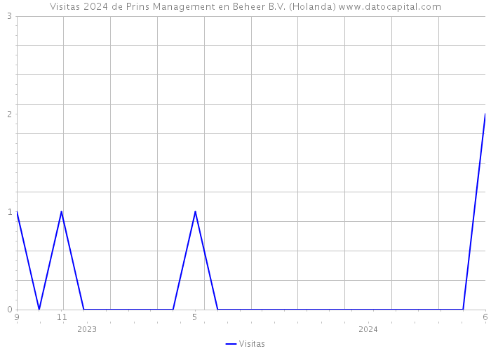 Visitas 2024 de Prins Management en Beheer B.V. (Holanda) 
