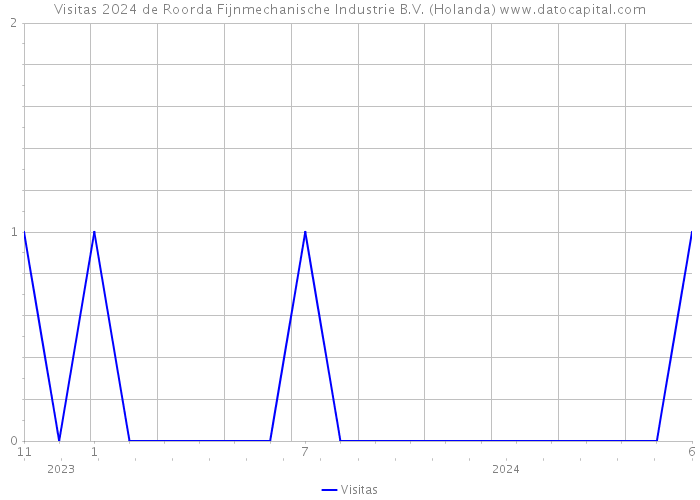 Visitas 2024 de Roorda Fijnmechanische Industrie B.V. (Holanda) 