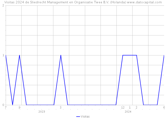 Visitas 2024 de Sliedrecht Management en Organisatie Twee B.V. (Holanda) 