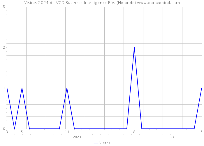 Visitas 2024 de VCD Business Intelligence B.V. (Holanda) 