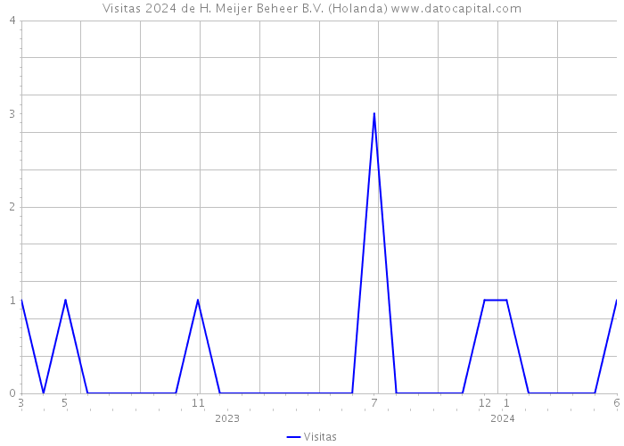 Visitas 2024 de H. Meijer Beheer B.V. (Holanda) 