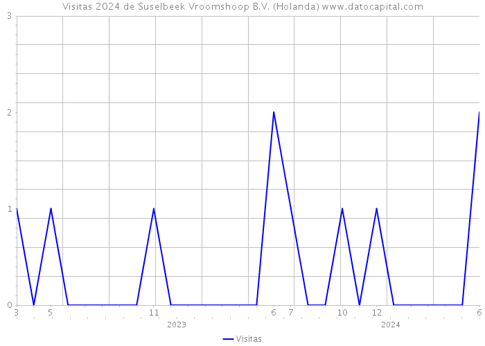 Visitas 2024 de Suselbeek Vroomshoop B.V. (Holanda) 