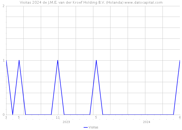 Visitas 2024 de J.M.E. van der Kroef Holding B.V. (Holanda) 