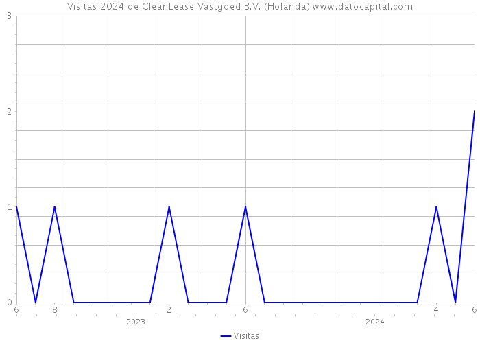 Visitas 2024 de CleanLease Vastgoed B.V. (Holanda) 