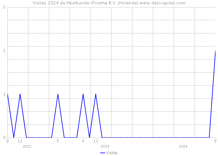 Visitas 2024 de Heelkunde-Postma B.V. (Holanda) 