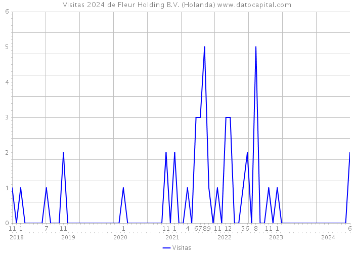 Visitas 2024 de Fleur Holding B.V. (Holanda) 