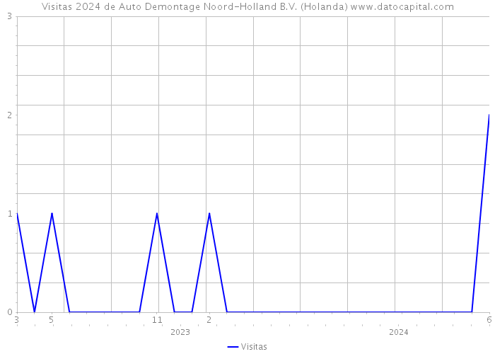 Visitas 2024 de Auto Demontage Noord-Holland B.V. (Holanda) 