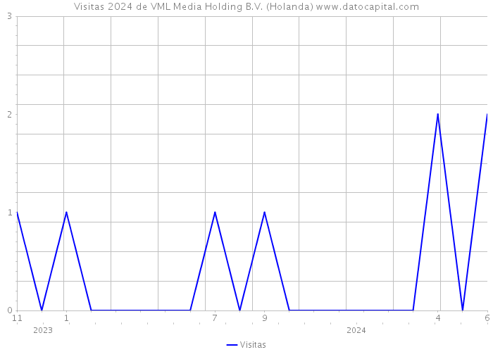 Visitas 2024 de VML Media Holding B.V. (Holanda) 