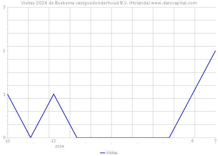 Visitas 2024 de Boekema vastgoedonderhoud B.V. (Holanda) 