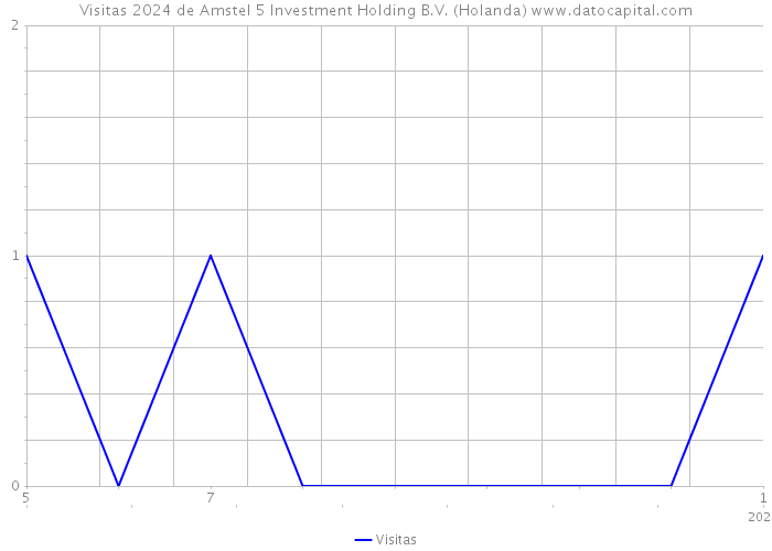 Visitas 2024 de Amstel 5 Investment Holding B.V. (Holanda) 