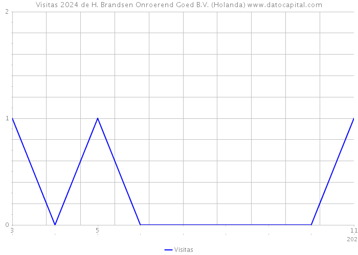 Visitas 2024 de H. Brandsen Onroerend Goed B.V. (Holanda) 