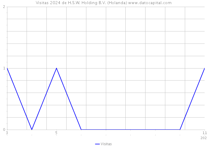 Visitas 2024 de H.S.W. Holding B.V. (Holanda) 