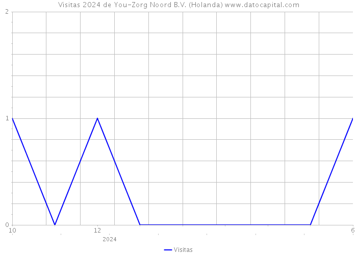 Visitas 2024 de You-Zorg Noord B.V. (Holanda) 