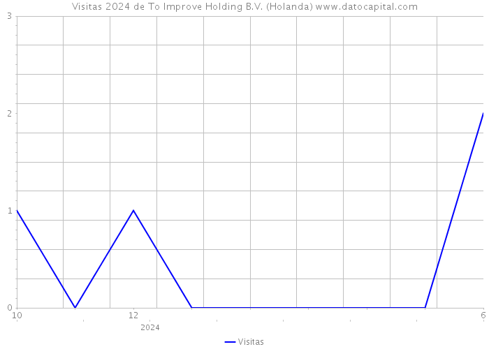 Visitas 2024 de To Improve Holding B.V. (Holanda) 