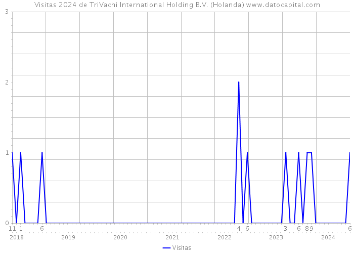 Visitas 2024 de TriVachi International Holding B.V. (Holanda) 