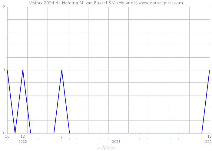 Visitas 2024 de Holding M. van Bussel B.V. (Holanda) 