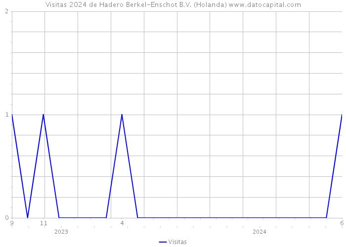 Visitas 2024 de Hadero Berkel-Enschot B.V. (Holanda) 