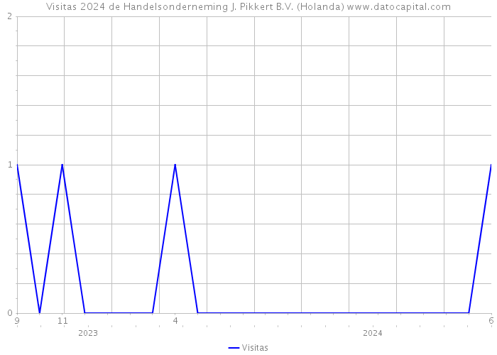 Visitas 2024 de Handelsonderneming J. Pikkert B.V. (Holanda) 