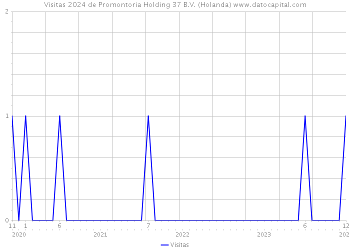 Visitas 2024 de Promontoria Holding 37 B.V. (Holanda) 