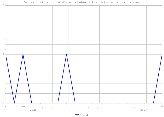 Visitas 2024 de B.V. De Wildernis Beheer (Holanda) 