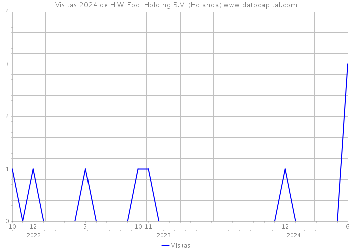 Visitas 2024 de H.W. Fool Holding B.V. (Holanda) 