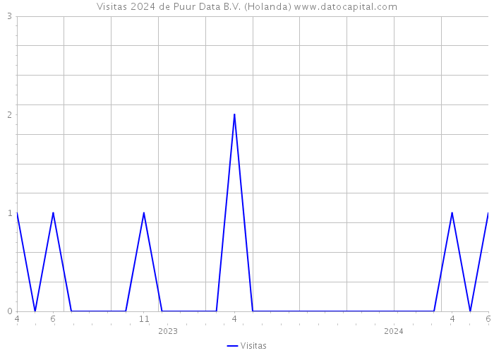 Visitas 2024 de Puur Data B.V. (Holanda) 