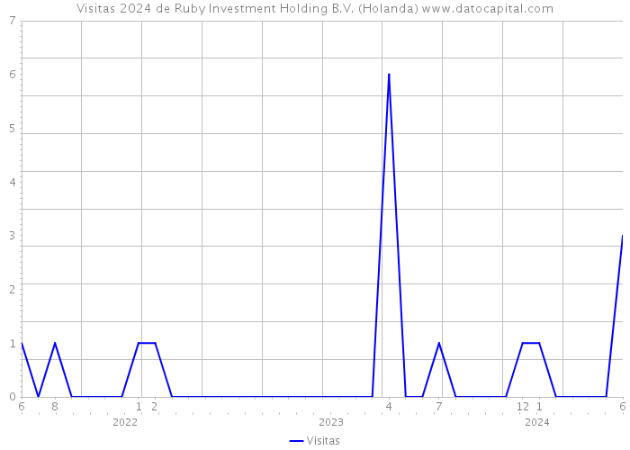 Visitas 2024 de Ruby Investment Holding B.V. (Holanda) 