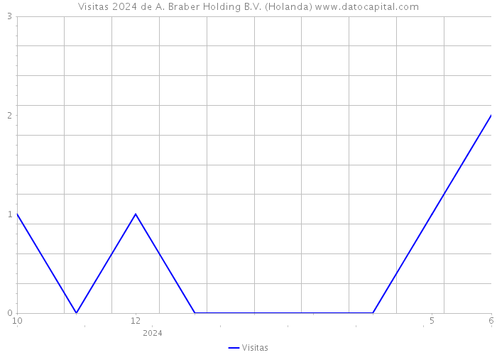 Visitas 2024 de A. Braber Holding B.V. (Holanda) 