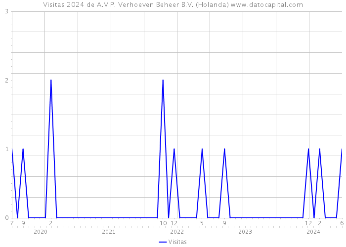 Visitas 2024 de A.V.P. Verhoeven Beheer B.V. (Holanda) 