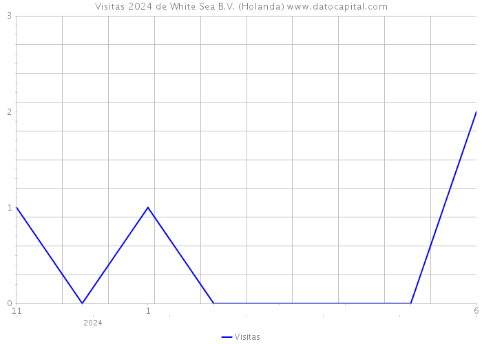 Visitas 2024 de White Sea B.V. (Holanda) 