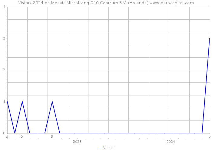 Visitas 2024 de Mosaic Microliving 040 Centrum B.V. (Holanda) 