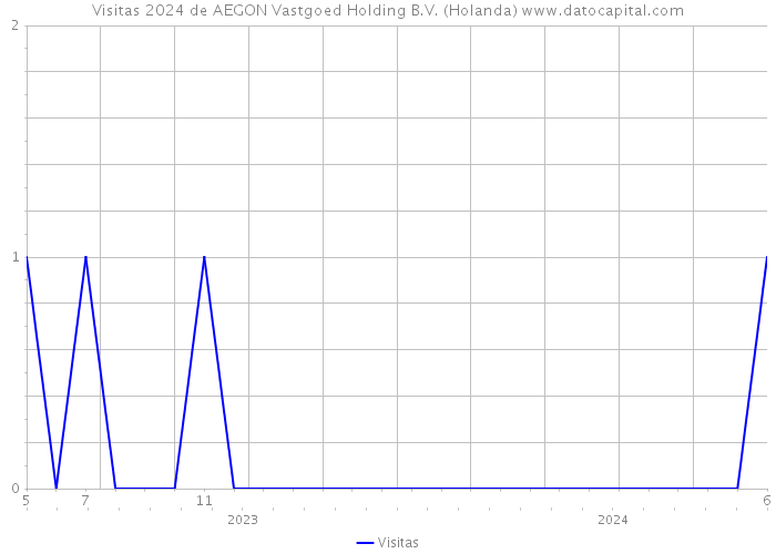 Visitas 2024 de AEGON Vastgoed Holding B.V. (Holanda) 