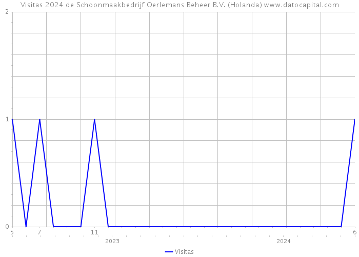 Visitas 2024 de Schoonmaakbedrijf Oerlemans Beheer B.V. (Holanda) 