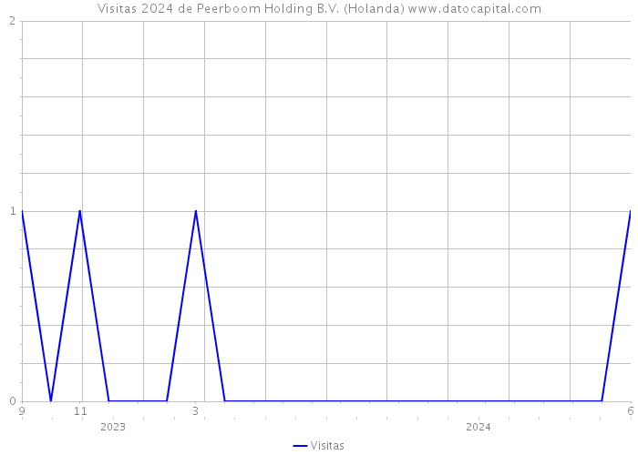 Visitas 2024 de Peerboom Holding B.V. (Holanda) 