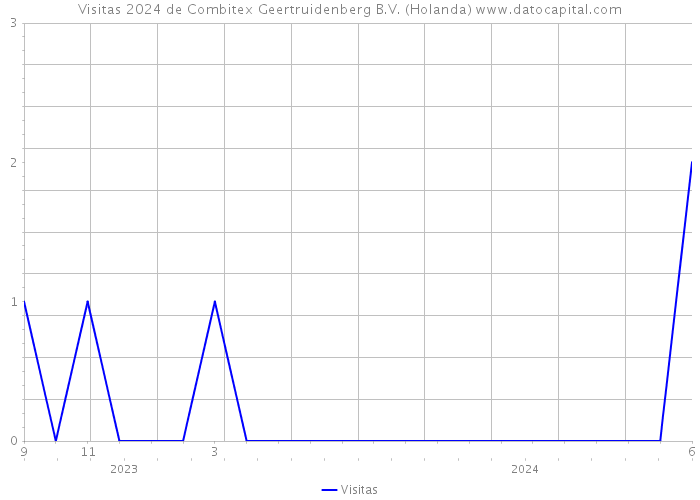 Visitas 2024 de Combitex Geertruidenberg B.V. (Holanda) 