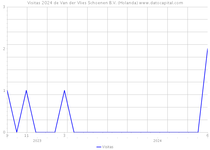 Visitas 2024 de Van der Vlies Schoenen B.V. (Holanda) 