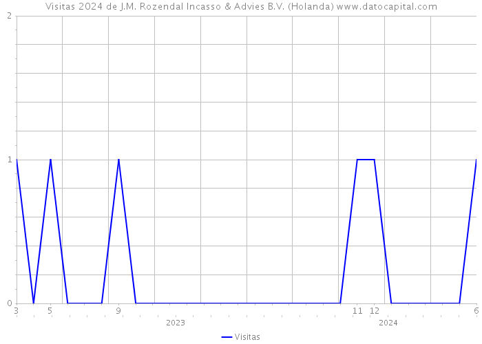 Visitas 2024 de J.M. Rozendal Incasso & Advies B.V. (Holanda) 