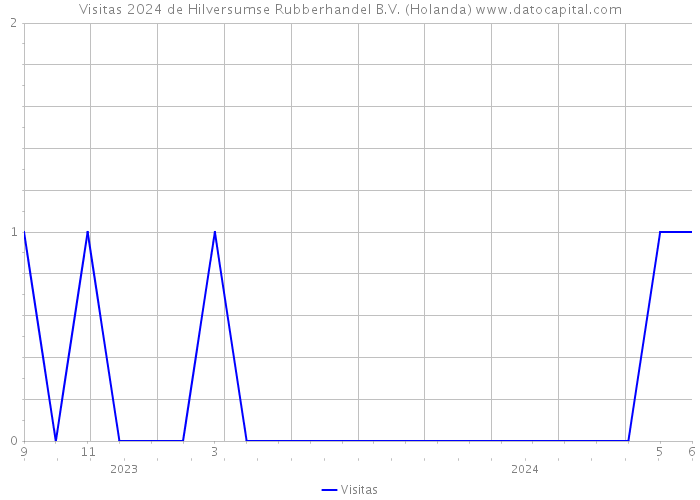 Visitas 2024 de Hilversumse Rubberhandel B.V. (Holanda) 